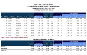 Aegis-Sample-Reports-Small-Business-Detail